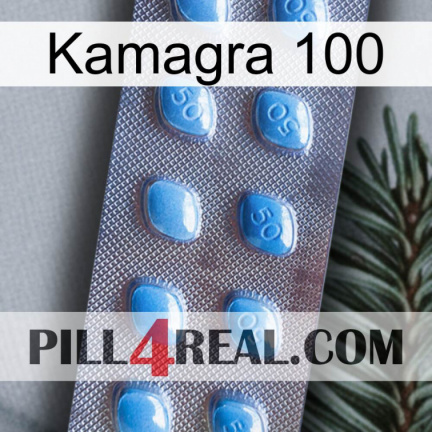Kamagra 100 viagra3